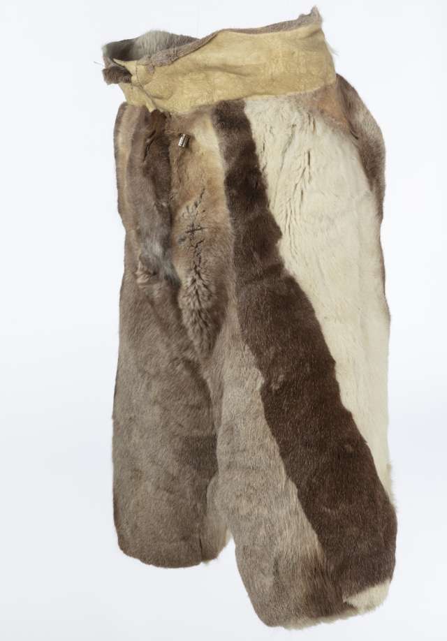 Pantalon en fourrure de caribou, vu lat&eacute;ralement, mettant en &eacute;vidence les rayures verticales brun fonc&eacute; et blanc. Les pantalons comportent une large bande de cuir retourn&eacute; &agrave; la taille.