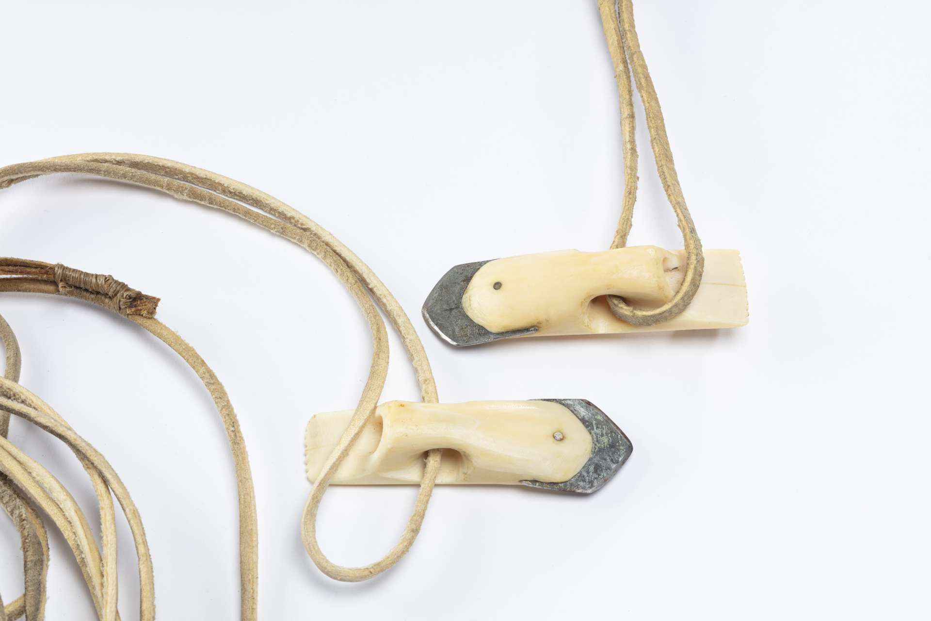 Deux t&ecirc;tes de harpon en ivoire avec une lame de m&eacute;tal triangulaire, chacune attach&eacute;e &agrave; une longue courroie enroul&eacute;e. L&rsquo;ivoire &agrave; l&rsquo;extr&eacute;mit&eacute; des t&ecirc;tes de harpons est dentel&eacute;.