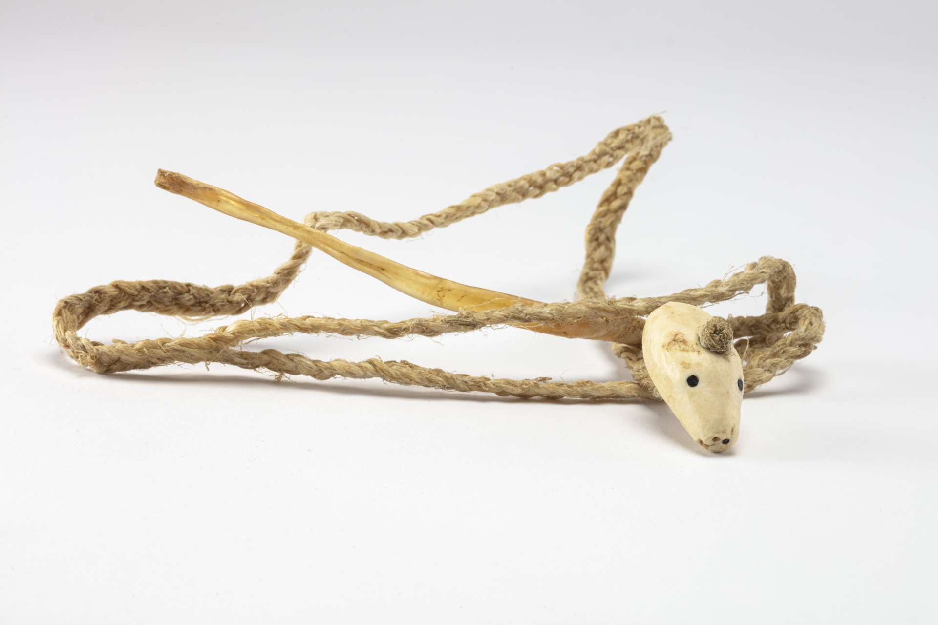 Ceinture de tendons tress&eacute;s avec une boucle en mati&egrave;re osseuse blanche sculpt&eacute;e en forme de t&ecirc;te d&rsquo;animal &agrave; une extr&eacute;mit&eacute;, et un bout de tendon rigide &agrave; l&rsquo;autre.